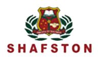 Shaftson International 