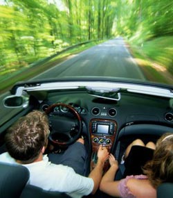 Drive through the australian forest in your rental car