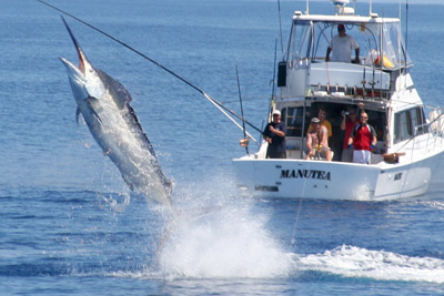 Fishing for Marlin in Australia