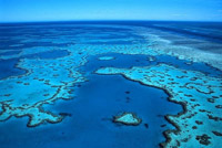 Great Barrier Reef Great Barrier Reef